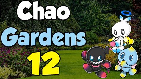 Chao Garden Session 12 Youtube