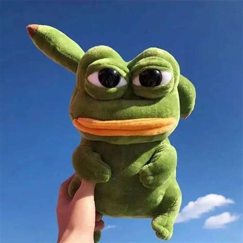 Pepe The Frog Pikachu Plushie Squishy Funny Meme Etsy