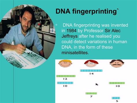 Dna Fingerprinting Ppt