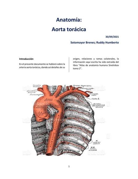 Aorta Torácica Ruddy uDocz