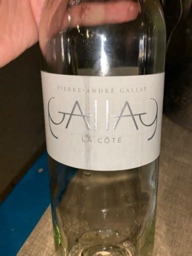 Pierre André Gallay Rosé de Gamay Pinot Vivino US