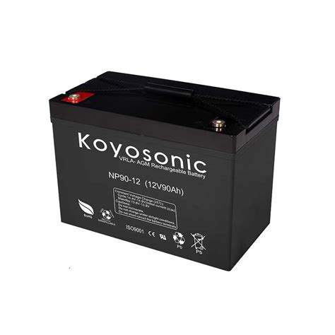 Np Series Of Vrla Agm Batteries Koyosonic Power Co Ltd