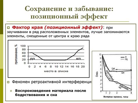 Познавательные процессы: память - презентация онлайн