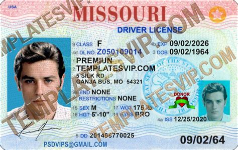 Drivers License Templates Page Templates Drivers Licenses Premium