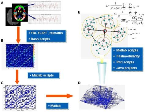 Major Steps Of Functional Connectivity Analysis Parcellation Of The