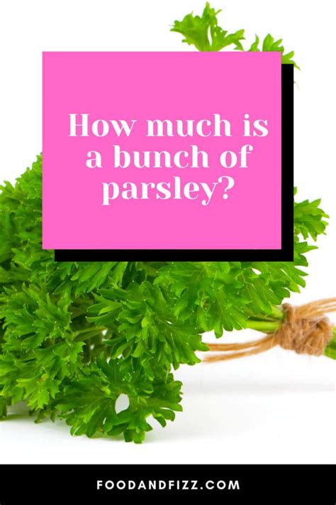 How Much Is A Bunch Of Parsley 1 Best Answer