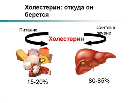 Что такое холестерин