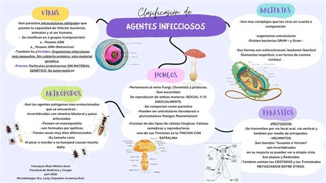 Mapa Mental Agentes Infecciosos Dafanower Medic Udocz