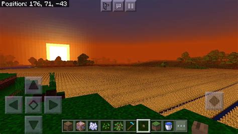 My 75,000 block wheat farm (this photo just shows a portion of it) : r ...