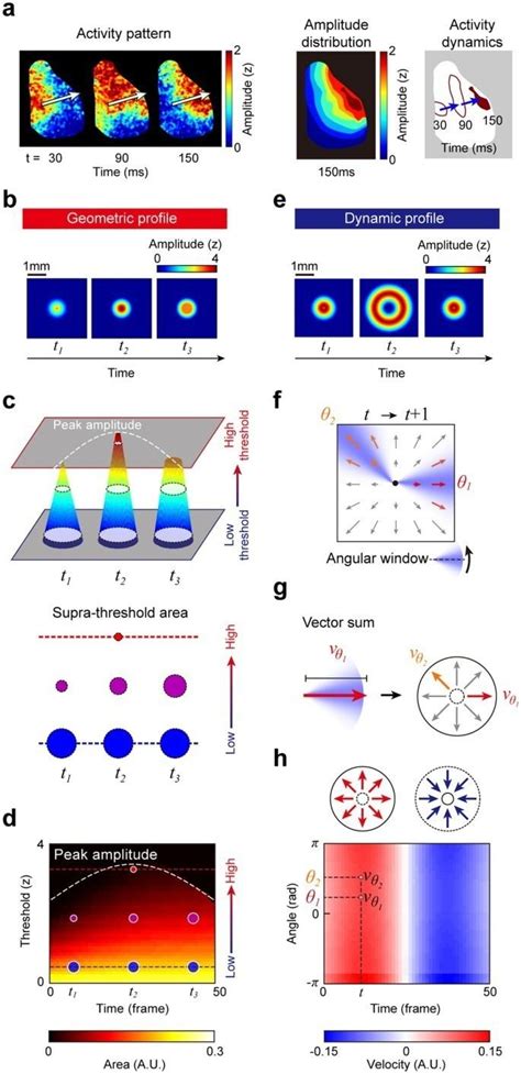 Spatiotemporal pattern - Alchetron, The Free Social Encyclopedia 