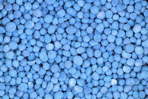 Blaukorn Dünger für welche Pflanzen Infos zur Anwendung Blaukorn