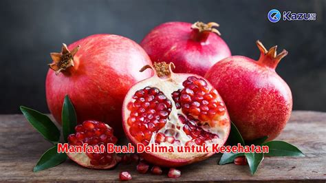 Manfaat Buah Delima Cara Mudah Tingkatkan Kesehatan Dan Kecantikan