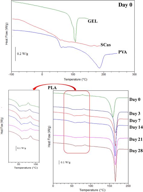 Typical Dsc Curves Of Film Samples Based On Natural Gel Felatin And Download Scientific