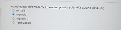 Solved Homologous chromosomes move to opposite poles of a | Chegg.com 