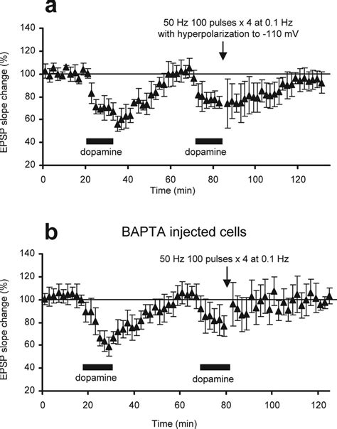 Postsynaptic locus of dopamine-facilitated LTP. a, LTP induction ... 