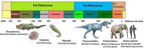 Linea Del Tiempo Geologico De La Tierra