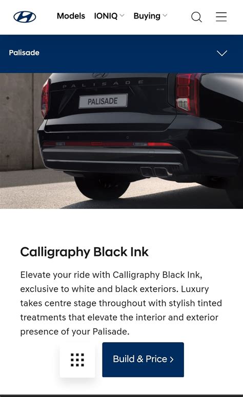 Hyundai Palisade Calligraphy, with Calligraphy Black ink option.... I'm ...