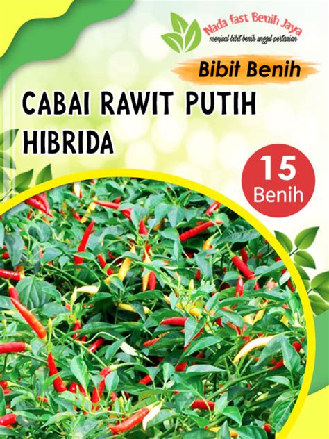 Biji Benih Cabe Rawit Putih Hibrida Bibit Cabai Rawit Setan