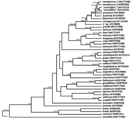 Phylogenetic Tree Resulting From The Bayesian Analysis Of The Cyt B