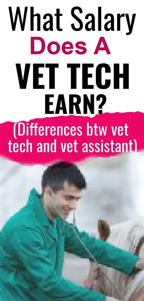 Vet Tech Vs Vet Assistant Whats The Difference Vet Assistant Vet