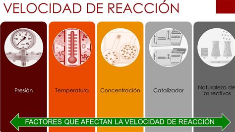 Factores que afectan a la velocidad de reacción Quizizz