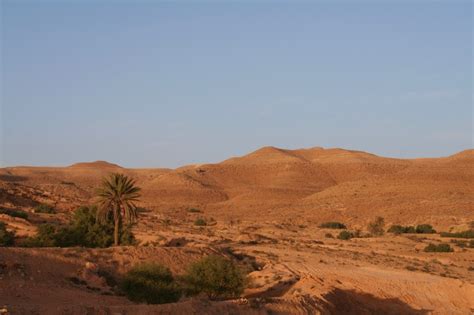 Berber fortresses and desert landscapes, Tataouine – Notes from Camelid ...