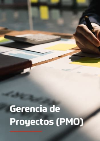 DRS Ingeniería y Gestión Especialistas en servicios profesionales