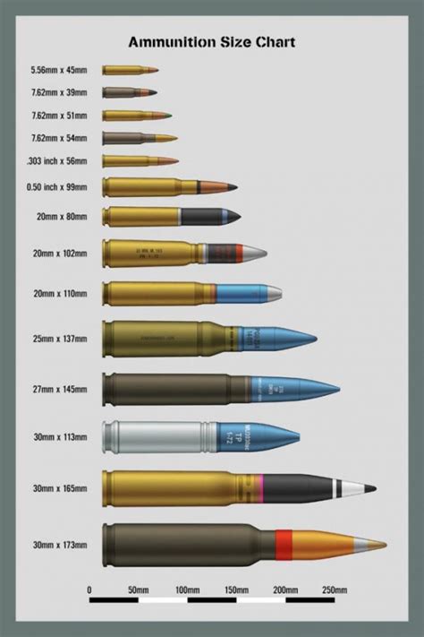 Ammo Size Chart | amulette