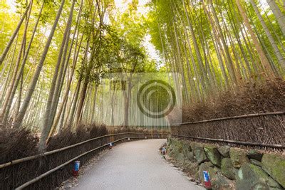 Fototapeta Arashiyama Lasy Bambusowe Bambus Las Kyoto Japonia Na