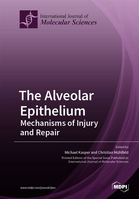 The Alveolar Epithelium Mdpi Books