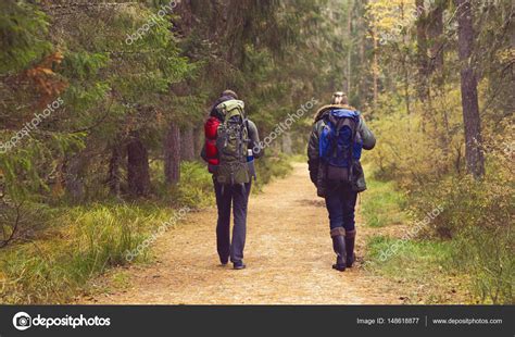 Two Men Hiking In Forest Stock Photo Shmeljov