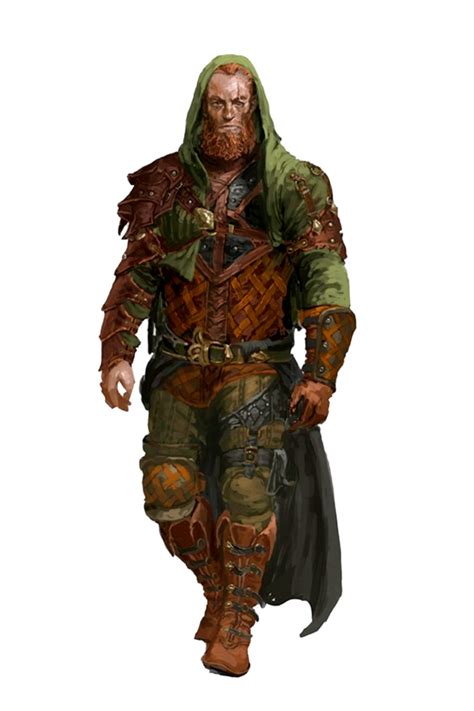 Male Human Ranger Redbeard Pathfinder 2E PFRPG PFSRD DND D D 3 5 4E