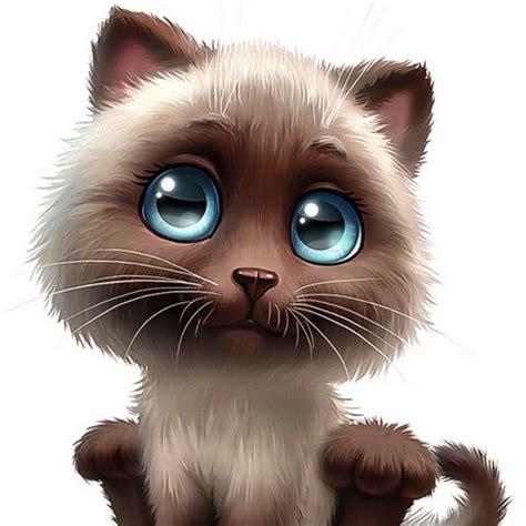 Pussy Pot YouTube