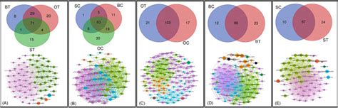 Bacterial Community Connectivity And Network Complexity Venn Diagrams