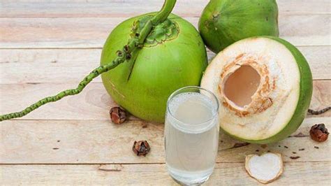 6 Manfaat Minum Air Kelapa Untuk Penderita Diabetes Begini Cara Sehat