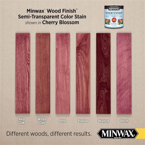 Minwax Wood Finish Water-based Cherry Blossom Mw1169 Semi-transparent ...