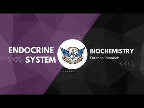 Lecture 3 /Quickies - Steroidogenesis : Biochemistry (ENDO) - YouTube 