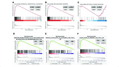 Significant Enrichment Terms For Gsea In Hallmarker Gene Sets A C