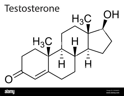 Vector File Of The Chemical And Molecule Structure Of Testosterone