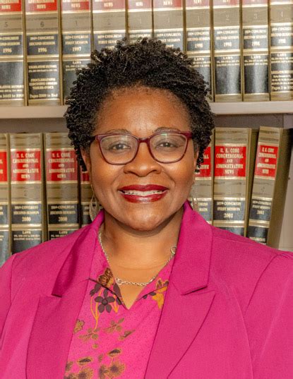 New York City Corporation Counsel Sylvia O Hinds Radix Appoints Toshia