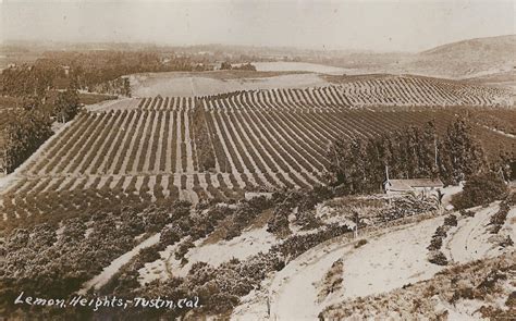 Early Landowners Valued North Tustin's Potential