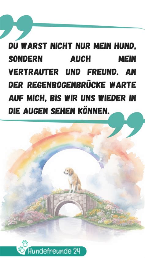 Hunde Regenbogenbrücke Trauersprüche Abschied vom Hund Hundefreunde 24