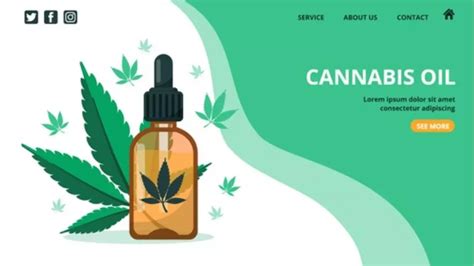 Descubra Los Efectos Negativos Y Secundarios Del Cbd Elite Cannabis