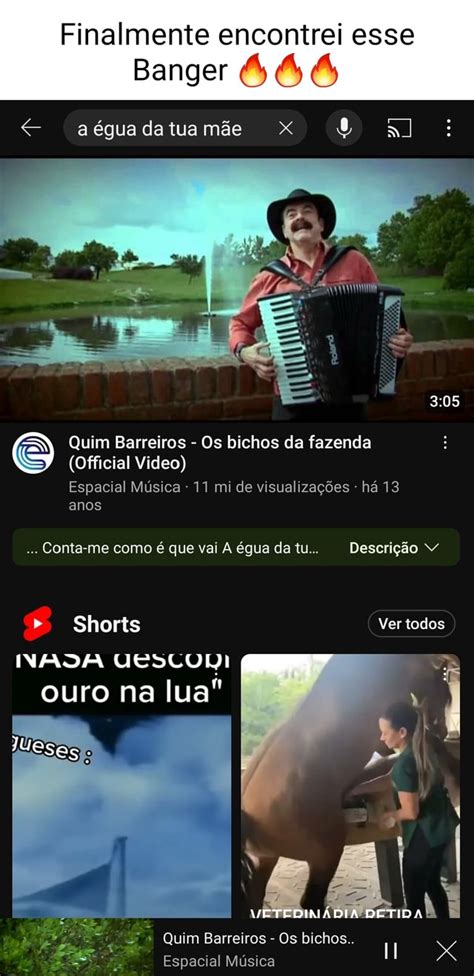 Finalmente Encontrei Esse Banger A Guadatuam O Quim Barreiros Os