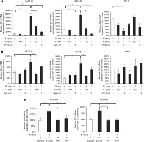 E Upregulates Shh Expression Through Er Activation In Er Positive