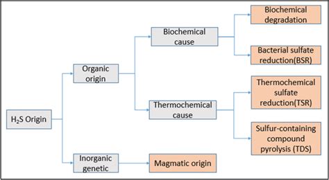 Model of hydrogen sulphide generation in nature | Download Scientific ...