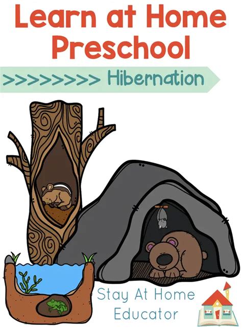 Fun And Cool Hibernation Activities For Preschoolers Education Outside