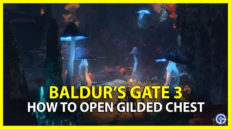 how to open the gilded chest bg3