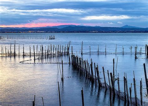 La Albufera Espejo Del Sol Destino