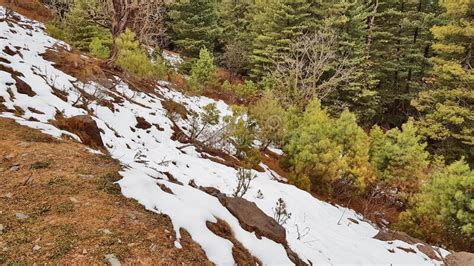 Snowfall at Patnitop stock photo. Image of effect, december - 207135074